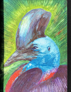 Cassowary’s Crown, 2007